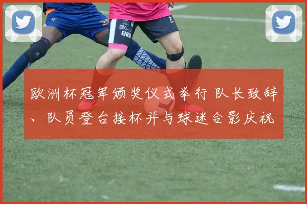 欧洲杯冠军颁奖仪式举行 队长致辞、队员登台接杯并与球迷合影庆祝