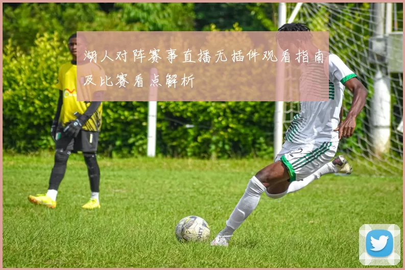 湖人对阵赛事直播无插件观看指南及比赛看点解析